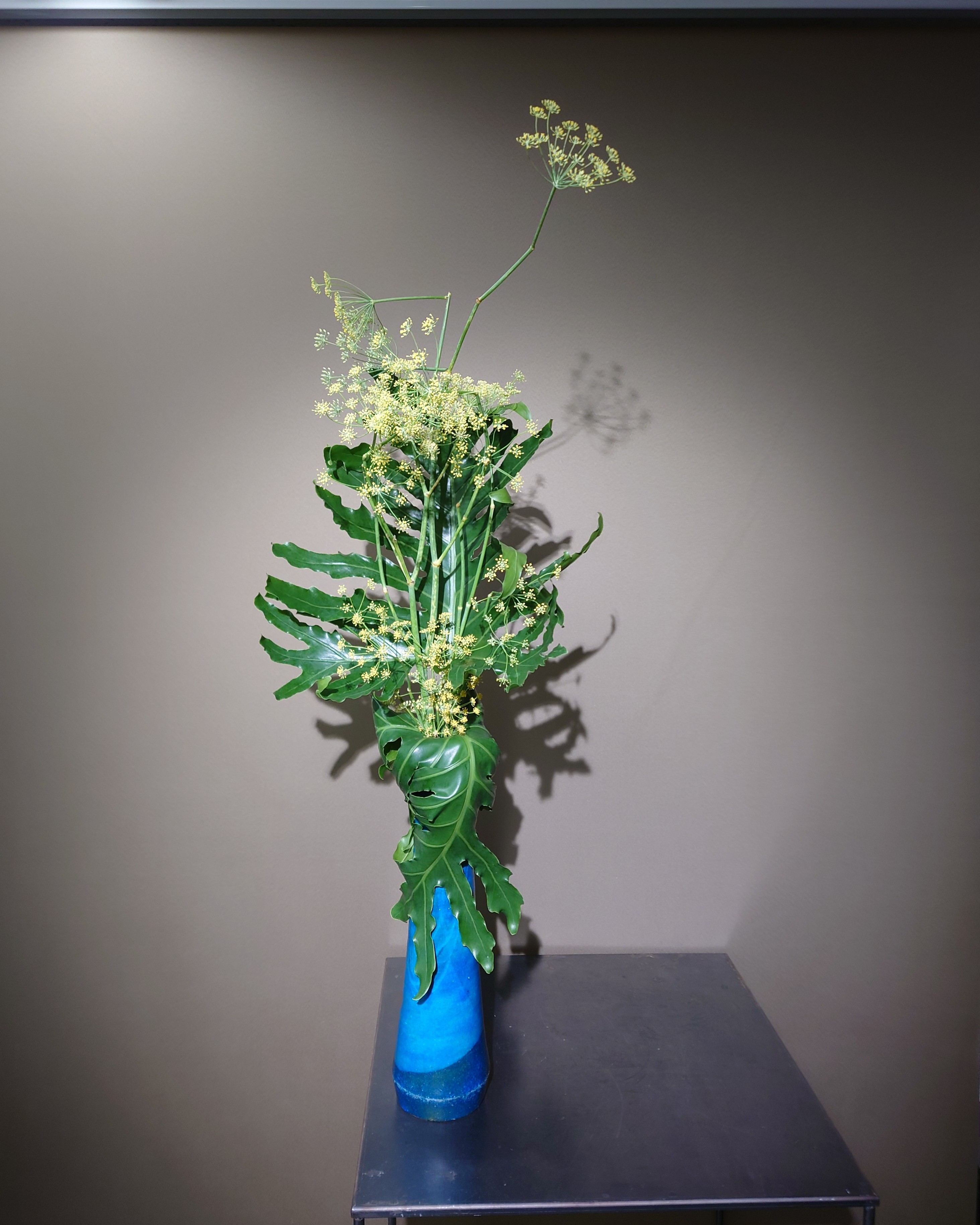 講師プロフィール写真