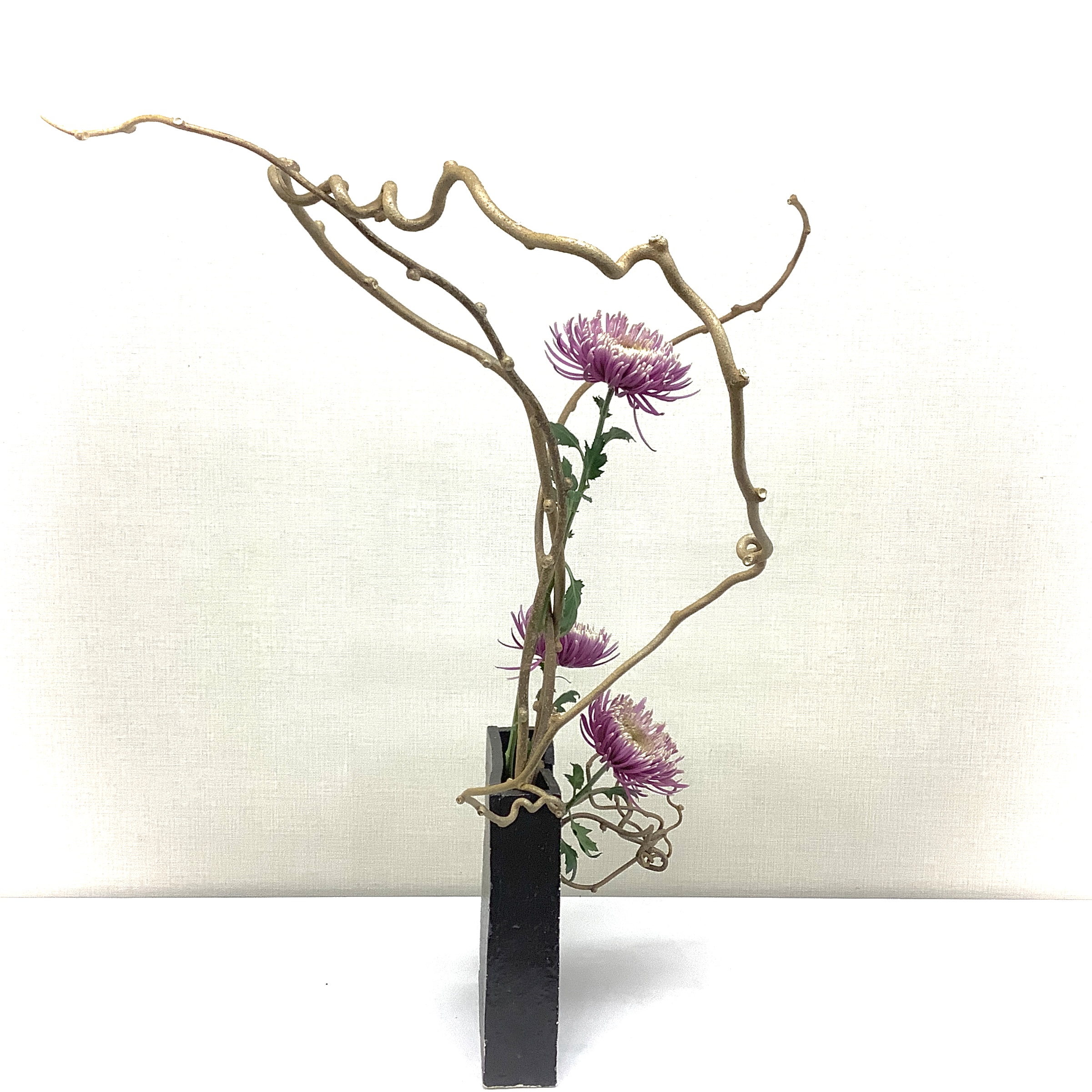 講師プロフィール写真