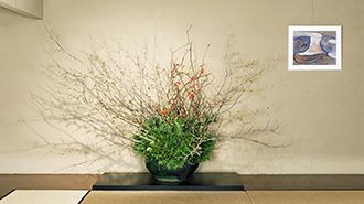 展覧会のいけばな 2000〜2008 （9冊セット）草月流 書籍・テキスト – THE GALLERY 草月